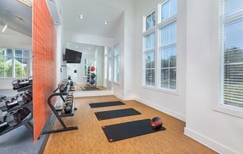 Yoga studio